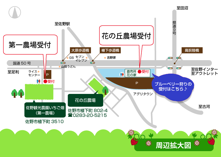 ブルーベリー狩り 佐野観光農園アグリタウン いちご狩り